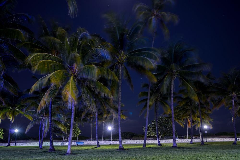 Hilton Vacation Club Crescent On South Beach Miami Miami Beach Luaran gambar